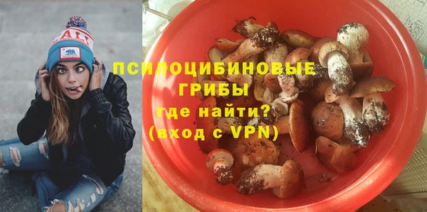 не бодяженный Арсеньев