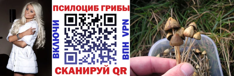 Псилоцибиновые грибы мухоморы  Купить закладки  Тейково 