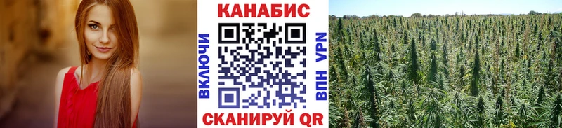 Конопля индика  Купить где  Тейково 